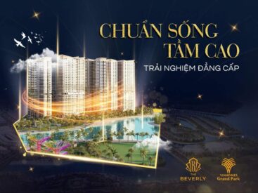 The Beverly 3 The Beverly 3